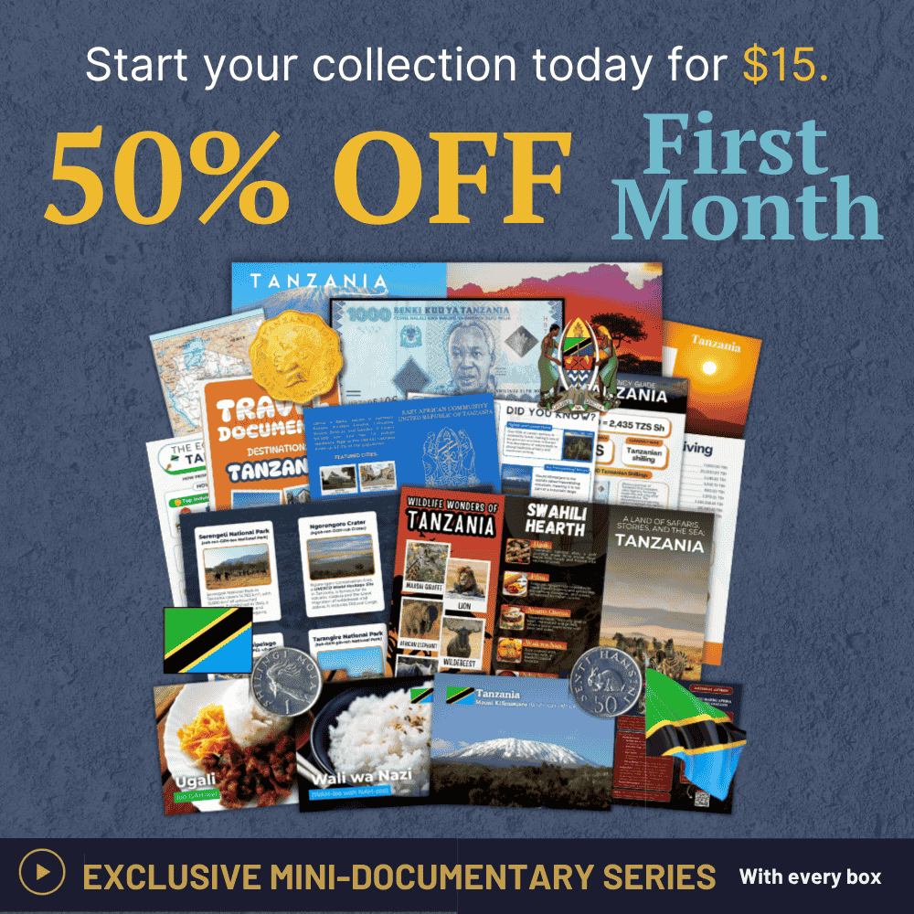 Special 50% Off Promotion